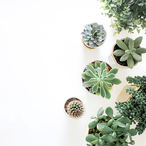 00142 Flatlay Boards 142